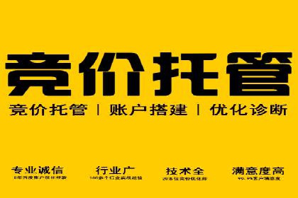 SEM主管实战经验：案例分析及反思